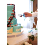 Cake Cutting